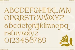 Bjork Serif