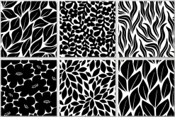 Black And White Floral Patterns