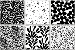 Black And White Floral Patterns