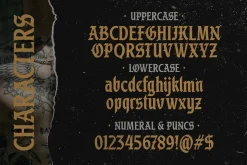 Black Division Typeface
