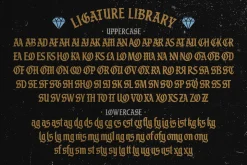 Black Division Typeface