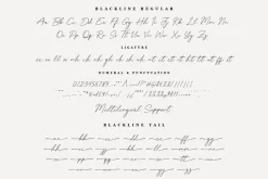 Blackline - Script Font with Swash