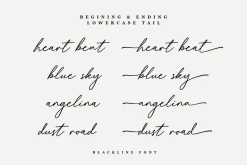 Blackline - Script Font with Swash