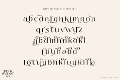 Black Mango - Modern beauty font