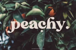 Blanch Sage - Retro Font