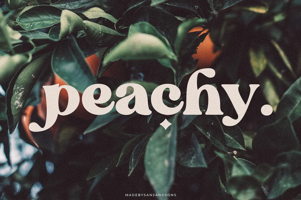 Blanch Sage - Retro Font