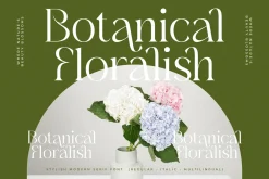 Blanvad Stylish Modern Serif