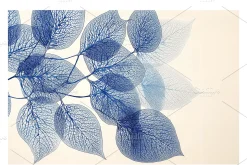 Blik Co. Organic Leaf Patterns