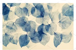 Blik Co. Organic Leaf Patterns