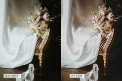 5 Blogger LR Presets + Video LUTs
