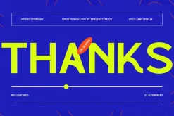 Bloker Bold Display Sans Font