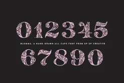 Blomma Hand-Drawn Display Font
