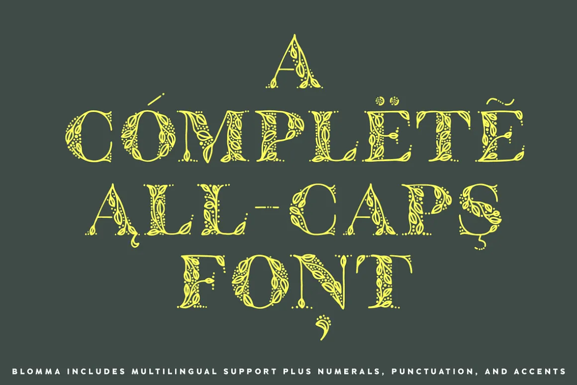 Blomma Hand-Drawn Display Font