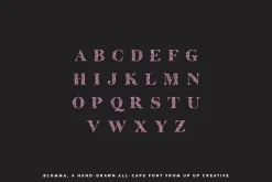 Blomma Hand-Drawn Display Font