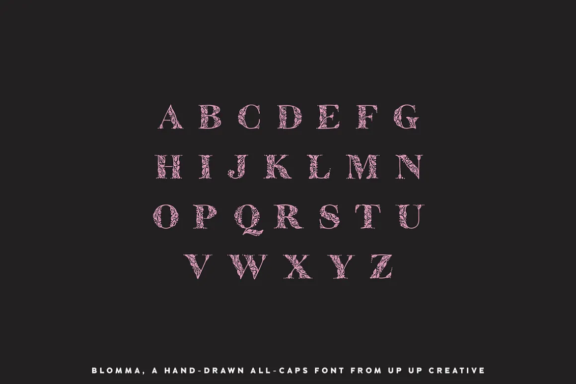 Blomma Hand-Drawn Display Font