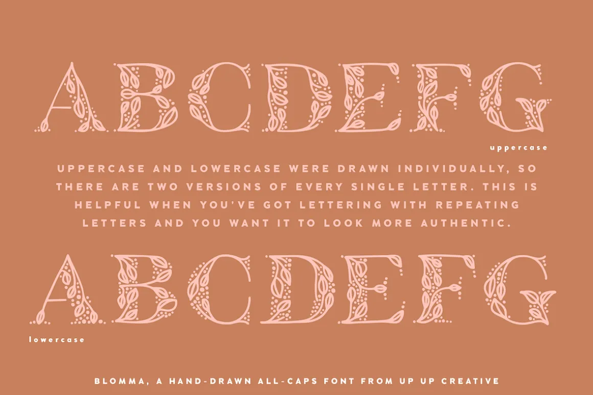 Blomma Hand-Drawn Display Font