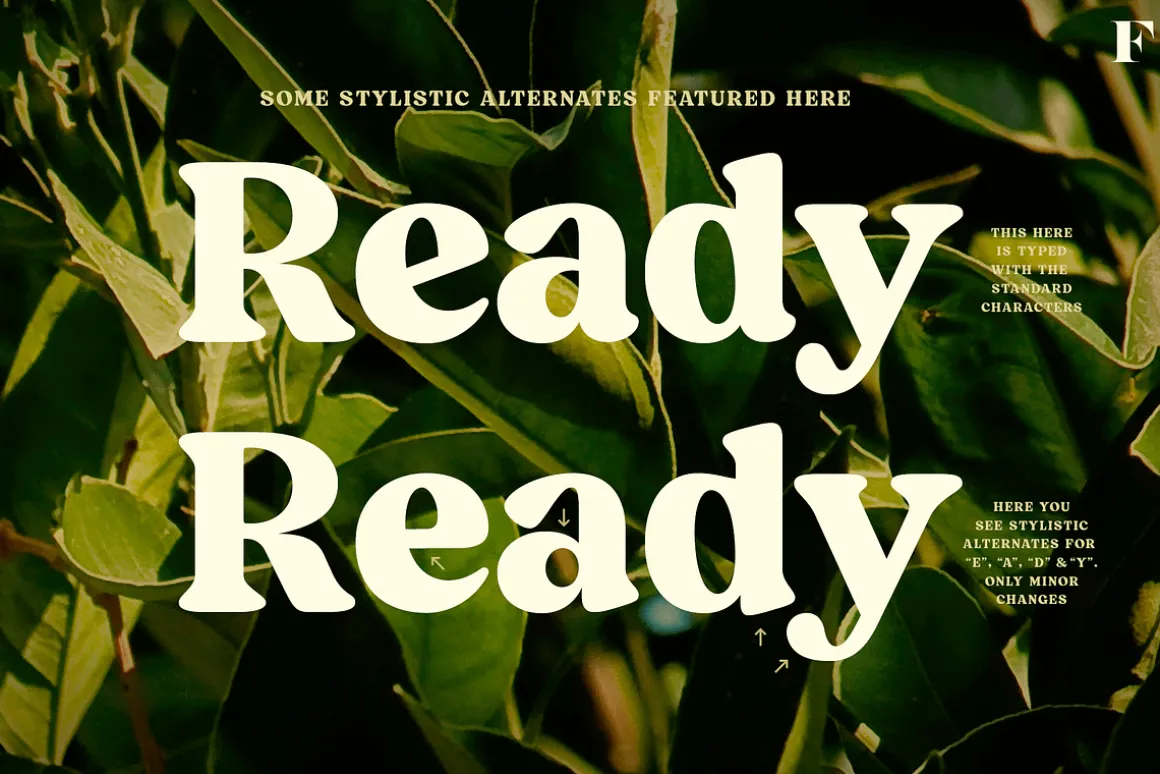 Blood Orange Vintage Serif