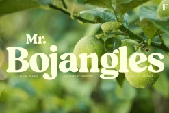 Blood Orange Vintage Serif