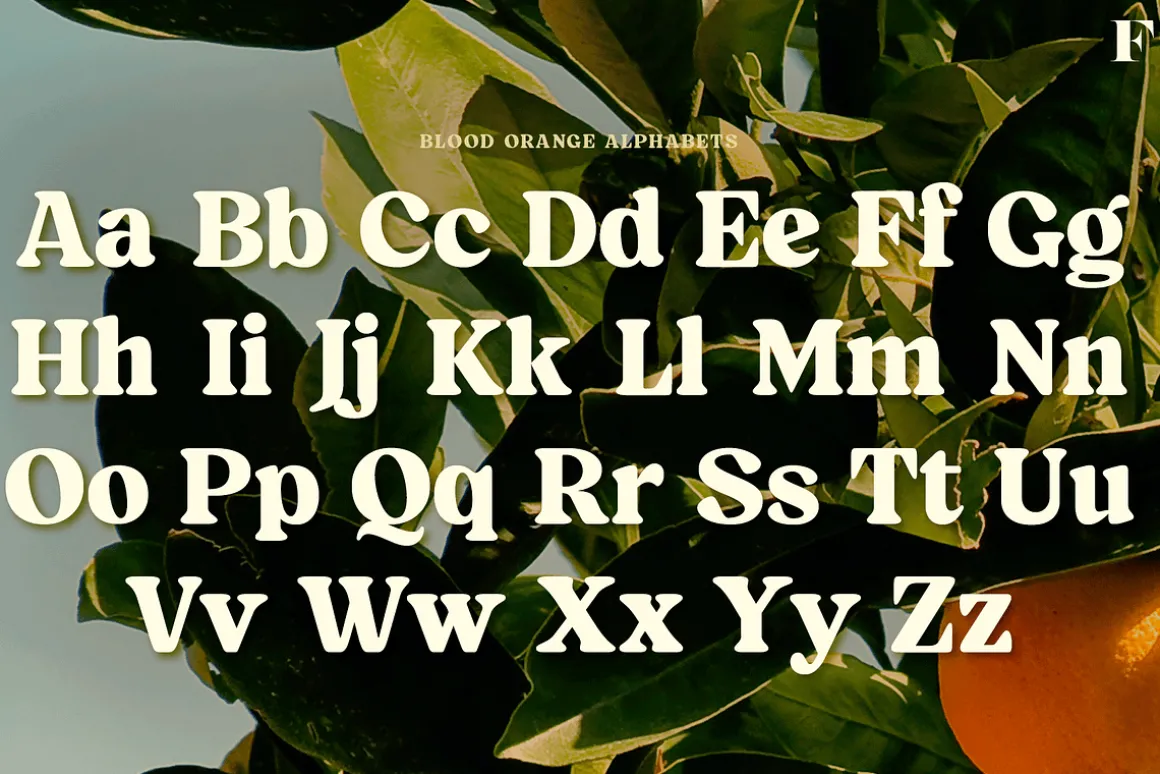 Blood Orange Vintage Serif