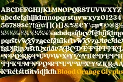 Blood Orange Vintage Serif