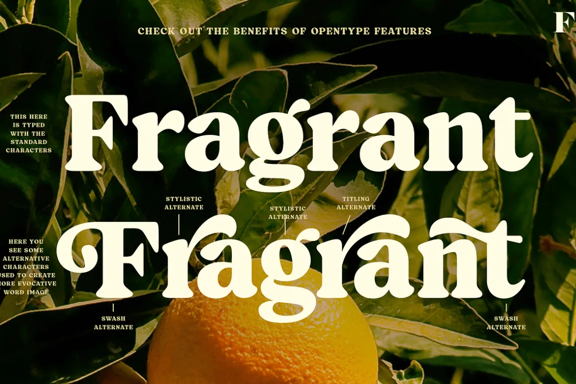Blood Orange Vintage Serif