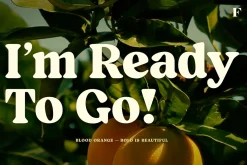 Blood Orange Vintage Serif