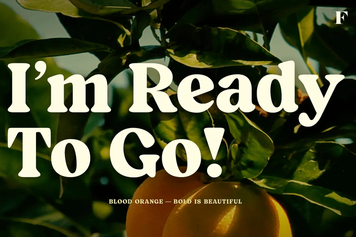 Blood Orange Vintage Serif