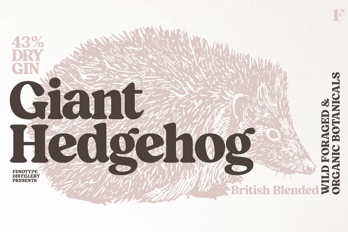Blood Orange Vintage Serif