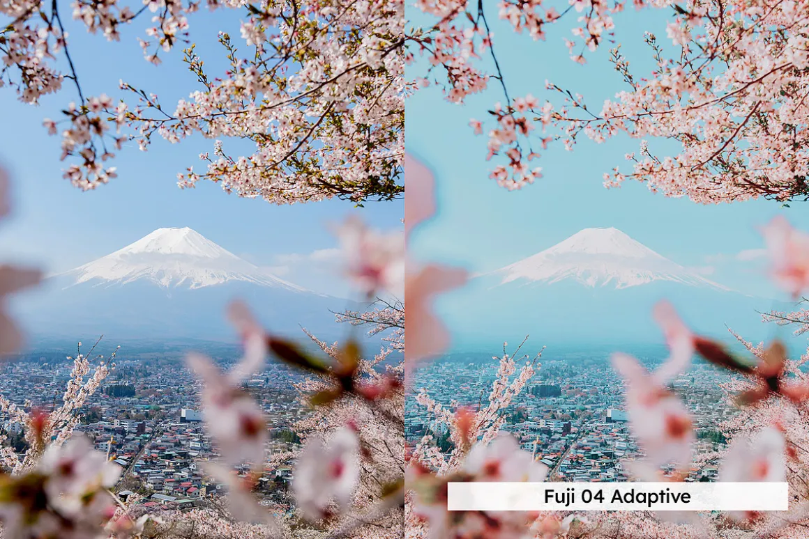 20 Blossom Lightroom Presets and LUT