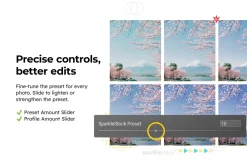 20 Blossom Lightroom Presets and LUT