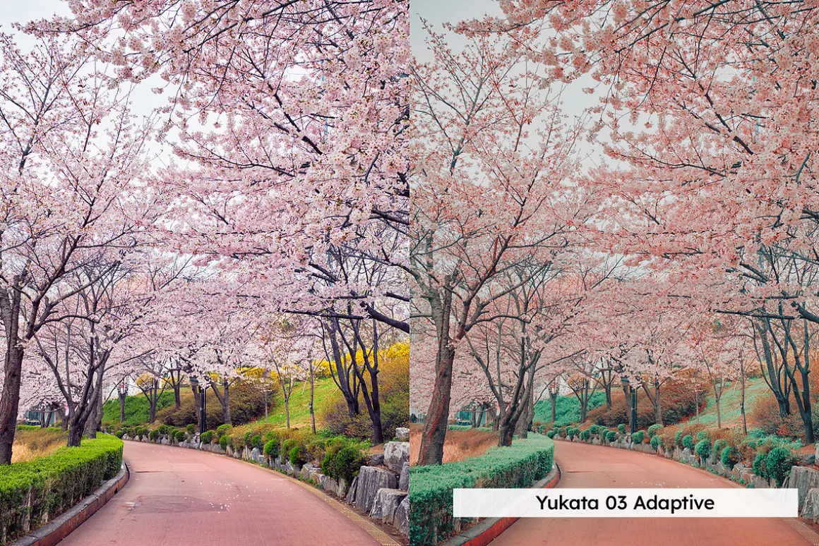 20 Blossom Lightroom Presets and LUT