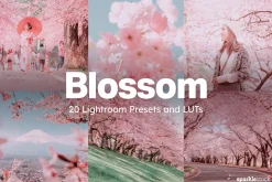 20 Blossom Lightroom Presets and LUT