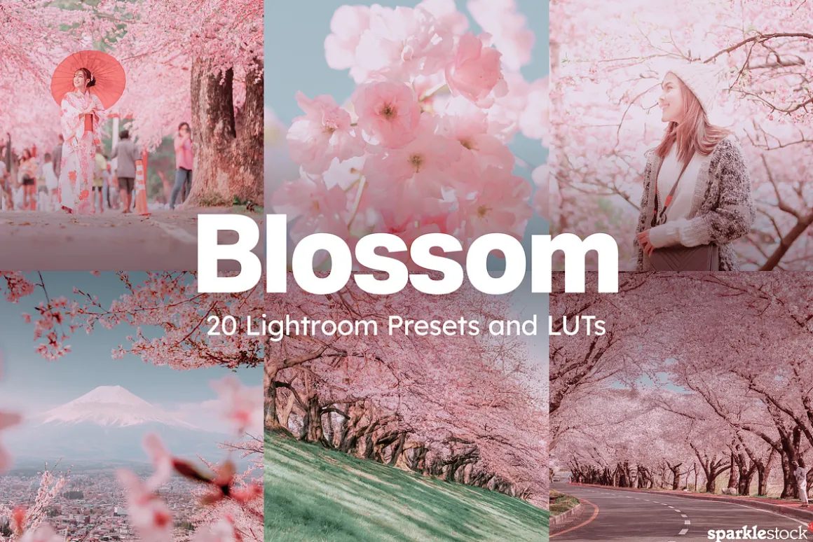 20 Blossom Lightroom Presets and LUT