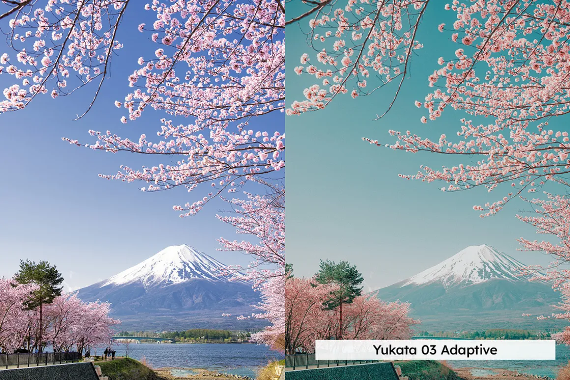 20 Blossom Lightroom Presets and LUT