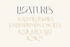 BLOSTA Font Duo//Serif & Script