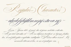 BLOSTA Font Duo//Serif & Script