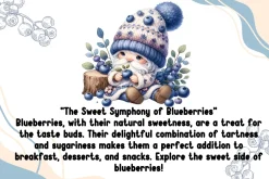 Blueberry Sweet - Handwritten