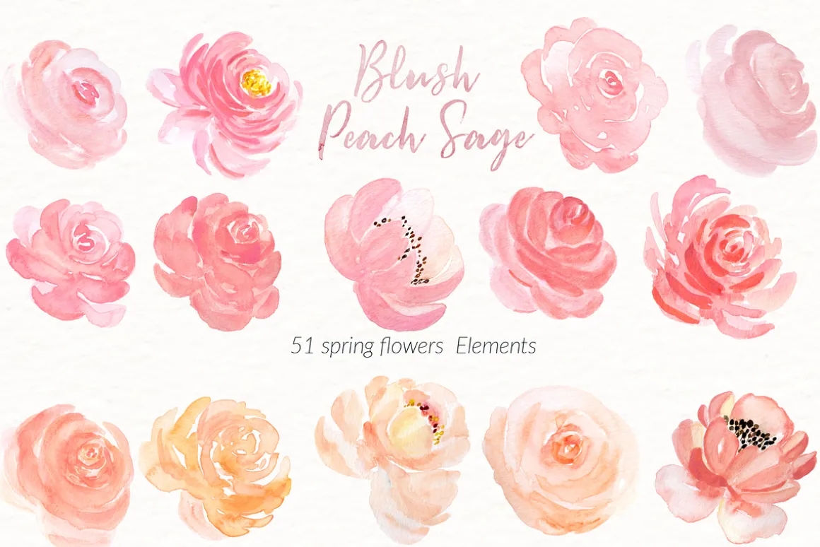 Blush Peach Sage flowers