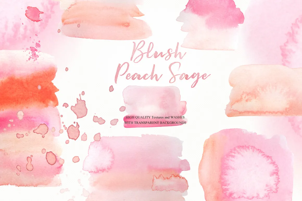 Blush Peach Sage flowers