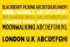 Bobby Jones - 16 Fonts