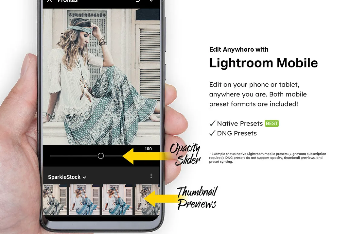 20 Bohemian Light Lightroom Presets