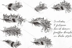 Bohemian magic. Illustrator brushes