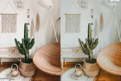 Boho Dream Lightroom Presets