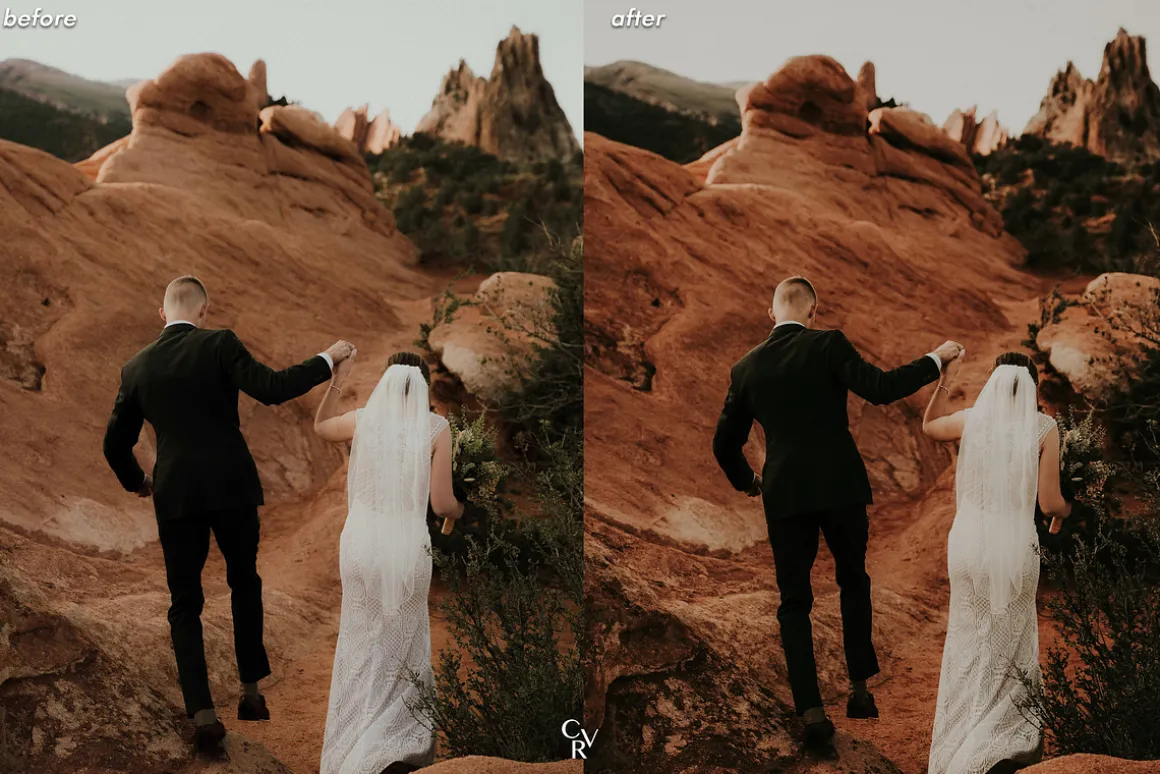 10 Boho Wedding Lightroom Presets