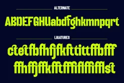 Boldy Grotesque | Condensed Font