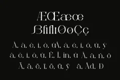 Bonuko - Modern Ligature Serif Font