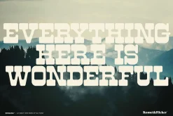 BONZANA - A Funky Western Style Font