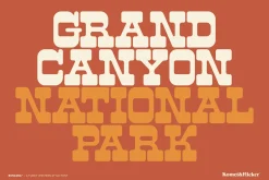 BONZANA - A Funky Western Style Font
