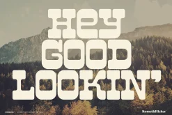 BONZANA - A Funky Western Style Font