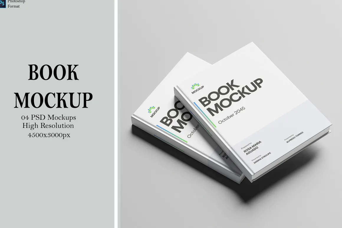 Book Mockup